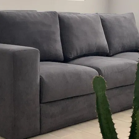 - Sea House Torreira