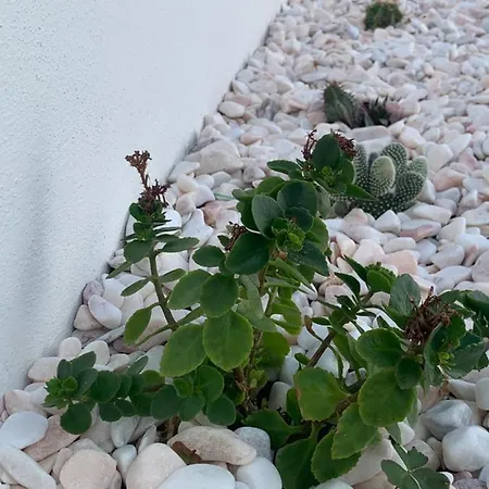 - Sea House * Torreira