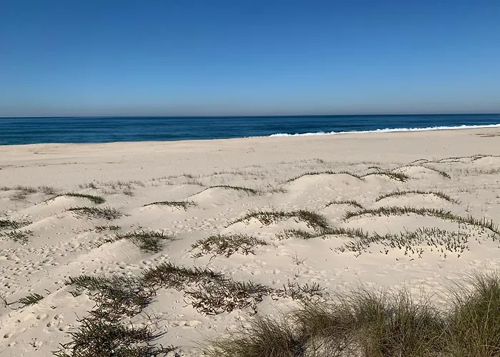 - Sea House Torreira